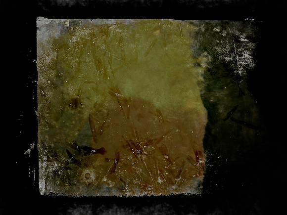 SHADOW-19-Edit-Edit