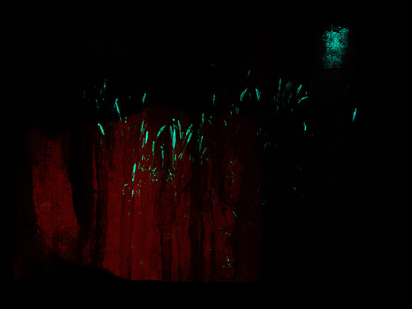 SHADOW-31-2-Edit-Edit
