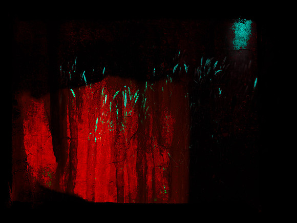 SHADOW-31-2-Edit
