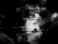 leaving 2-22-Edit