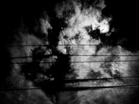 leaving 2-24-Edit