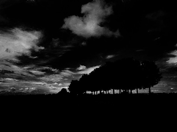leaving 4-46-Edit