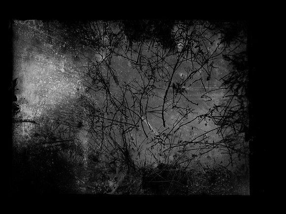 enough photography_36792663350_o