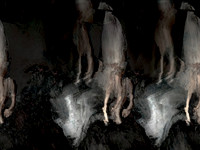 angel 240317-4_33500865751_o