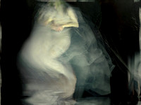 angel 230317-3-1_33220319000_o