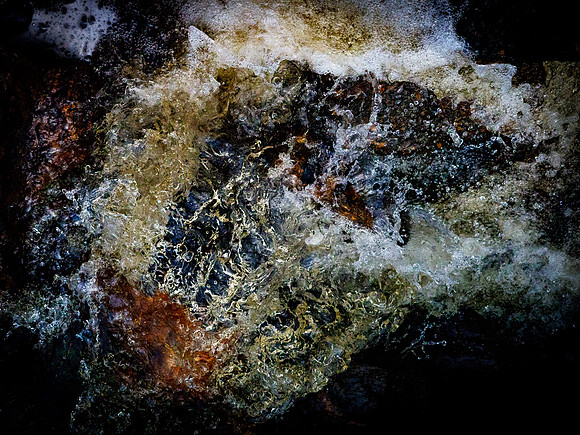 still  290717-1376_36390696845_o
