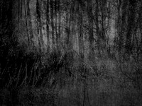 river 210717-4_35675367630_o
