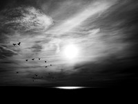 black water 170717-6_35828235822_o