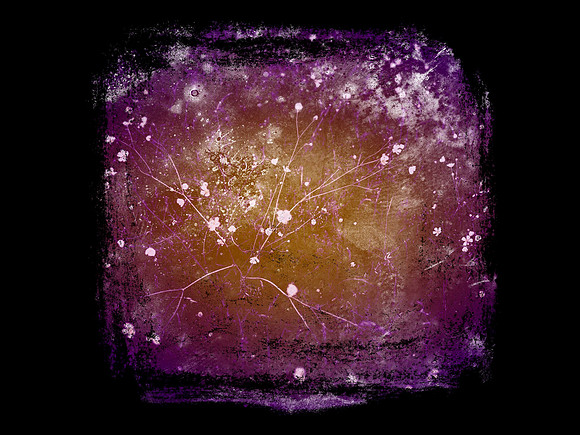 shadow 060917-15_36874984316_o