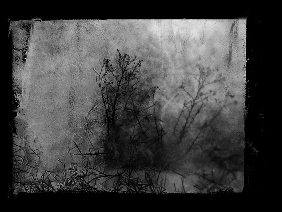 120917-7_36348449234_o