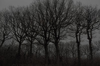 011214 #186