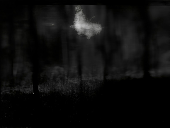 MOTH-38