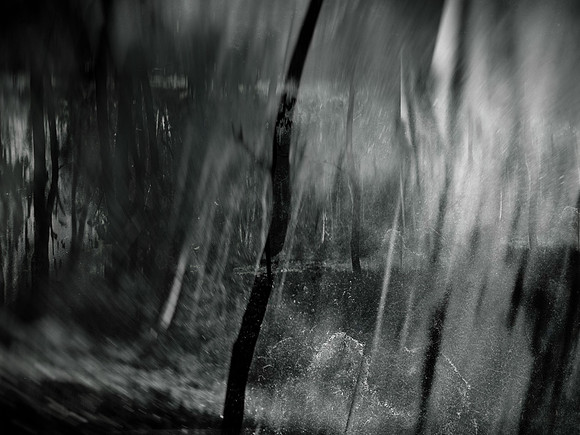 MOTH-61