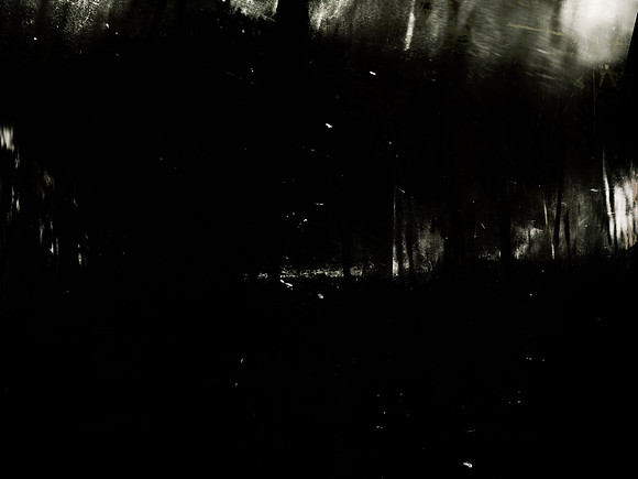 MOTH-164