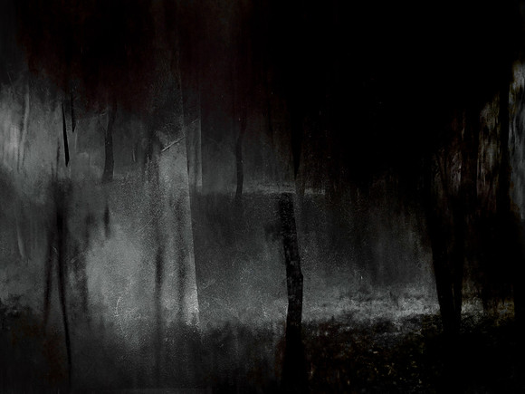 MOTH-186