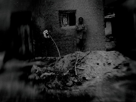 monochrome delectus