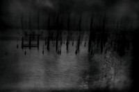 12 july 2010-17-6