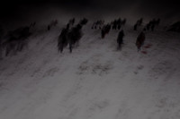 winter 15