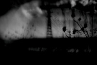 untitled-77