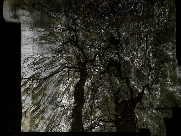 011116-2-6