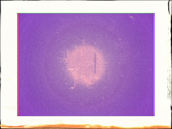 82-61