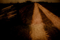 2013-05-29-348