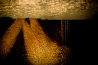 2013-05-29-334