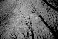 2013-09-17v1-77