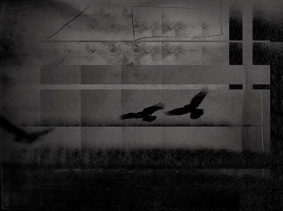 5-50