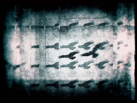 5-76
