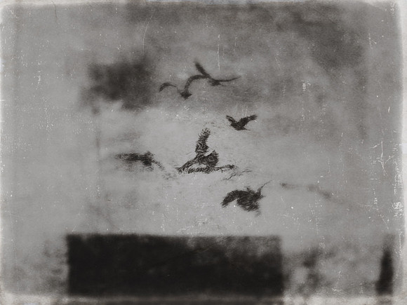 8-26