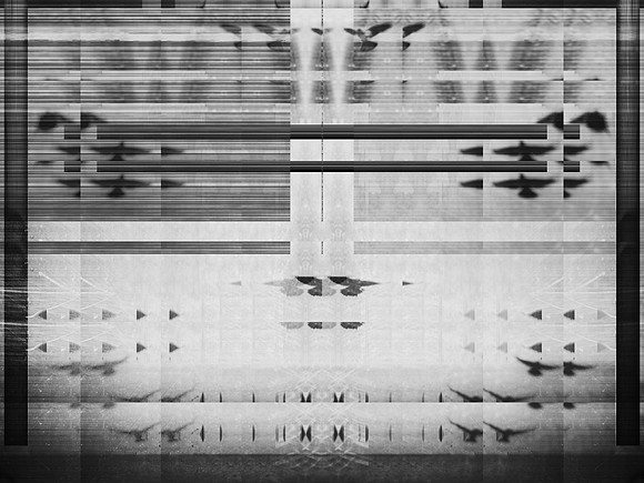 10-81