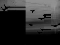 11-11