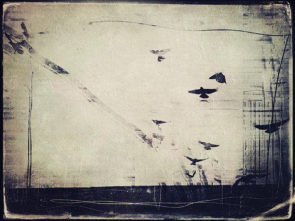 11-72