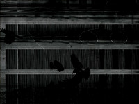 19-11