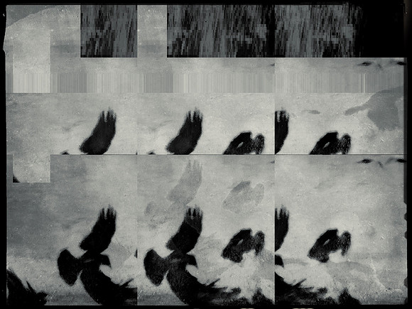 20-56