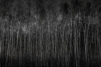 101214-488