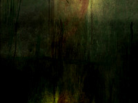 271116-1-4