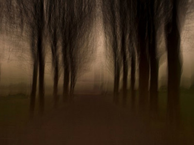 dark silence