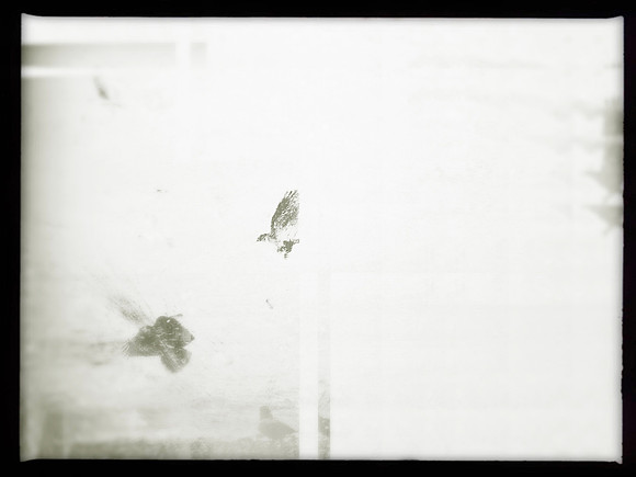 33-19