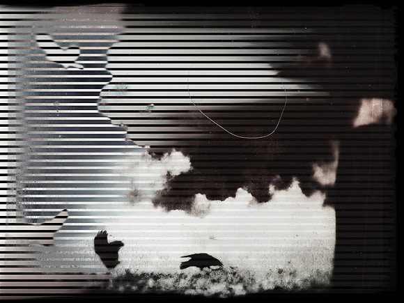 36-41