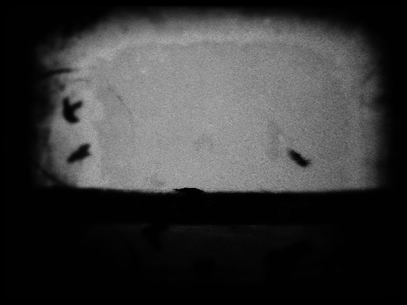 38-45