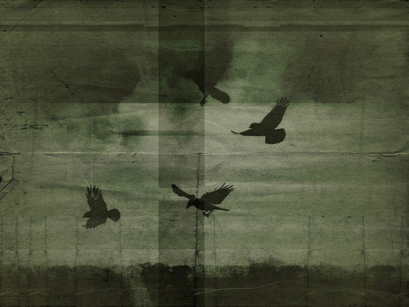 3-81