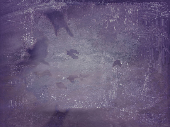 3-277