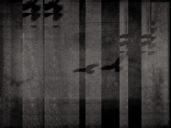 5-98