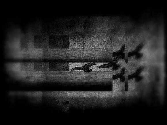 5-119