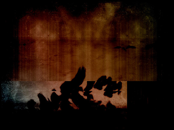 20-45