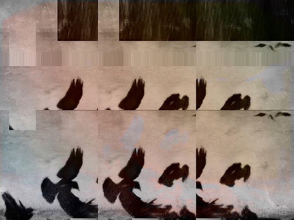 20-55