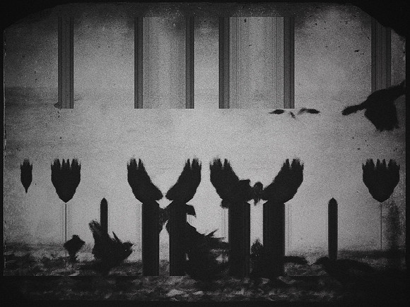 20-68