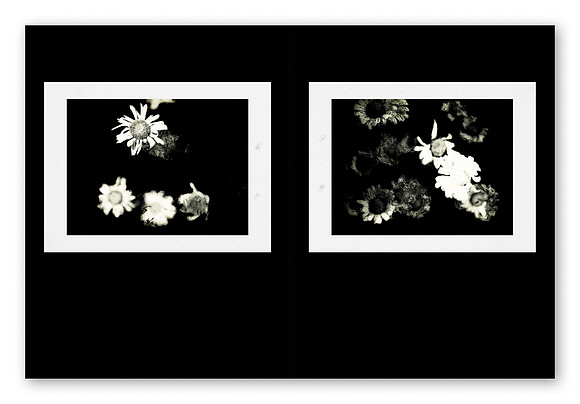 JWE-JW-RL-V210x280-PR-Spreads12_1080px